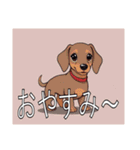 スタンダードダックスフンド（個別スタンプ：4）