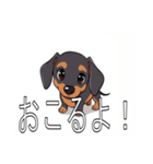 スタンダードダックスフンド（個別スタンプ：33）