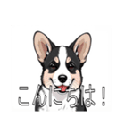 コーギー（カーディガン）がいっぱい（個別スタンプ：2）