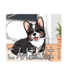 コーギー（カーディガン）がいっぱい（個別スタンプ：3）