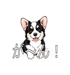 コーギー（カーディガン）がいっぱい（個別スタンプ：24）