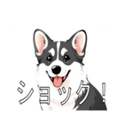 コーギー（カーディガン）がいっぱい（個別スタンプ：25）