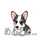 コーギー（カーディガン）がいっぱい（個別スタンプ：31）