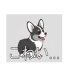 コーギー（カーディガン）がいっぱい（個別スタンプ：33）