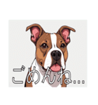 スタッフォードシャーブルテリアがいっぱい（個別スタンプ：12）