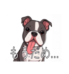 スタッフォードシャーブルテリアがいっぱい（個別スタンプ：29）