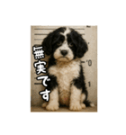 キャバリアビションフリーゼのキャバション（個別スタンプ：32）