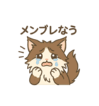 ノルウェージャンが尊いスタンプ2（個別スタンプ：3）