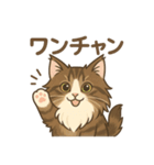 ノルウェージャンが尊いスタンプ2（個別スタンプ：13）