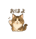 ノルウェージャンが尊いスタンプ1（個別スタンプ：1）