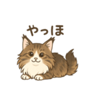 ノルウェージャンが尊いスタンプ1（個別スタンプ：2）