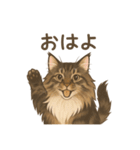 ノルウェージャンが尊いスタンプ1（個別スタンプ：3）