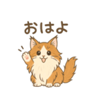 ノルウェージャンが尊いスタンプ1（個別スタンプ：5）