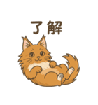 ノルウェージャンが尊いスタンプ1（個別スタンプ：8）