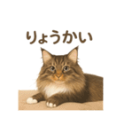 ノルウェージャンが尊いスタンプ1（個別スタンプ：9）