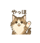 ノルウェージャンが尊いスタンプ1（個別スタンプ：11）