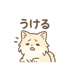 ノルウェージャンが尊いスタンプ1（個別スタンプ：16）