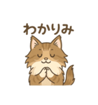 ノルウェージャンが尊いスタンプ1（個別スタンプ：18）