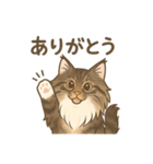 ノルウェージャンが尊いスタンプ1（個別スタンプ：23）