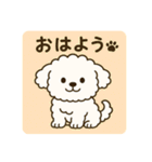 毎日使える☆もふもふワンちゃんスタンプ 3（個別スタンプ：1）