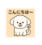 毎日使える☆もふもふワンちゃんスタンプ 3（個別スタンプ：2）