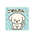 毎日使える☆もふもふワンちゃんスタンプ 3（個別スタンプ：5）