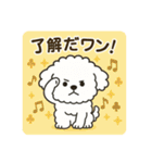 毎日使える☆もふもふワンちゃんスタンプ 3（個別スタンプ：6）