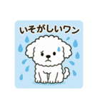 毎日使える☆もふもふワンちゃんスタンプ 3（個別スタンプ：8）