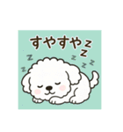 毎日使える☆もふもふワンちゃんスタンプ 3（個別スタンプ：12）