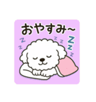毎日使える☆もふもふワンちゃんスタンプ 3（個別スタンプ：15）