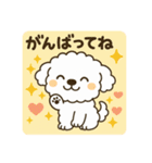毎日使える☆もふもふワンちゃんスタンプ 3（個別スタンプ：22）