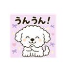 毎日使える☆もふもふワンちゃんスタンプ 3（個別スタンプ：24）