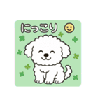 毎日使える☆もふもふワンちゃんスタンプ 3（個別スタンプ：26）