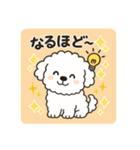 毎日使える☆もふもふワンちゃんスタンプ 3（個別スタンプ：27）