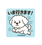 毎日使える☆もふもふワンちゃんスタンプ 3（個別スタンプ：29）