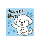毎日使える☆もふもふワンちゃんスタンプ 3（個別スタンプ：30）