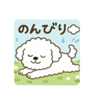 毎日使える☆もふもふワンちゃんスタンプ 3（個別スタンプ：31）