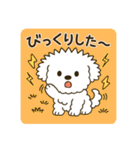 毎日使える☆もふもふワンちゃんスタンプ 3（個別スタンプ：32）
