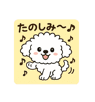 毎日使える☆もふもふワンちゃんスタンプ 3（個別スタンプ：33）