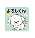 毎日使える☆もふもふワンちゃんスタンプ 3（個別スタンプ：36）