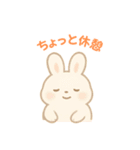 毎日スタンプふわもこウサギ（個別スタンプ：4）