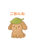毎日スタンプふわもこウサギ（個別スタンプ：13）