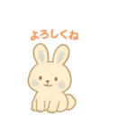 毎日スタンプふわもこウサギ（個別スタンプ：16）