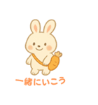 毎日スタンプふわもこウサギ（個別スタンプ：17）