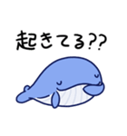 毎日使えるくじらスタンプ（おっとり）（個別スタンプ：1）
