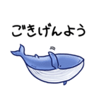 毎日使えるくじらスタンプ（おっとり）（個別スタンプ：3）