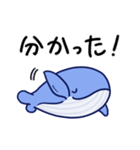 毎日使えるくじらスタンプ（おっとり）（個別スタンプ：5）
