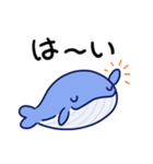毎日使えるくじらスタンプ（おっとり）（個別スタンプ：6）