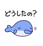 毎日使えるくじらスタンプ（おっとり）（個別スタンプ：13）