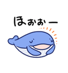 毎日使えるくじらスタンプ（おっとり）（個別スタンプ：16）